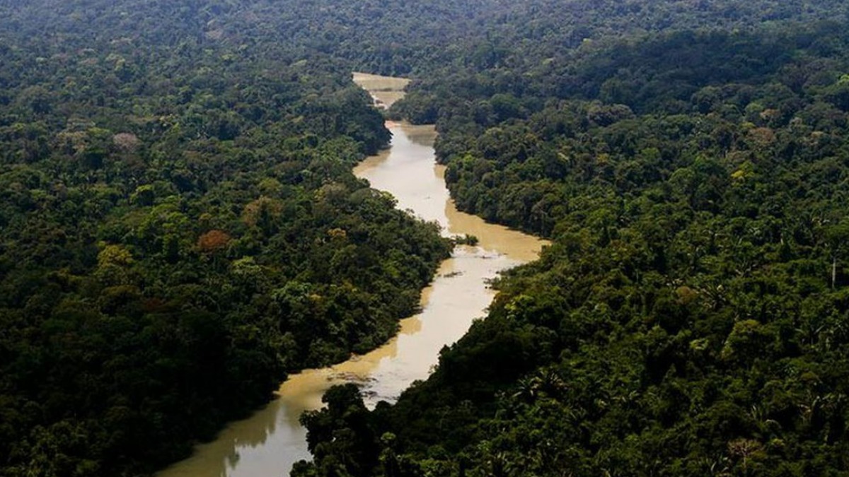 Máquina do tempo Amazônia