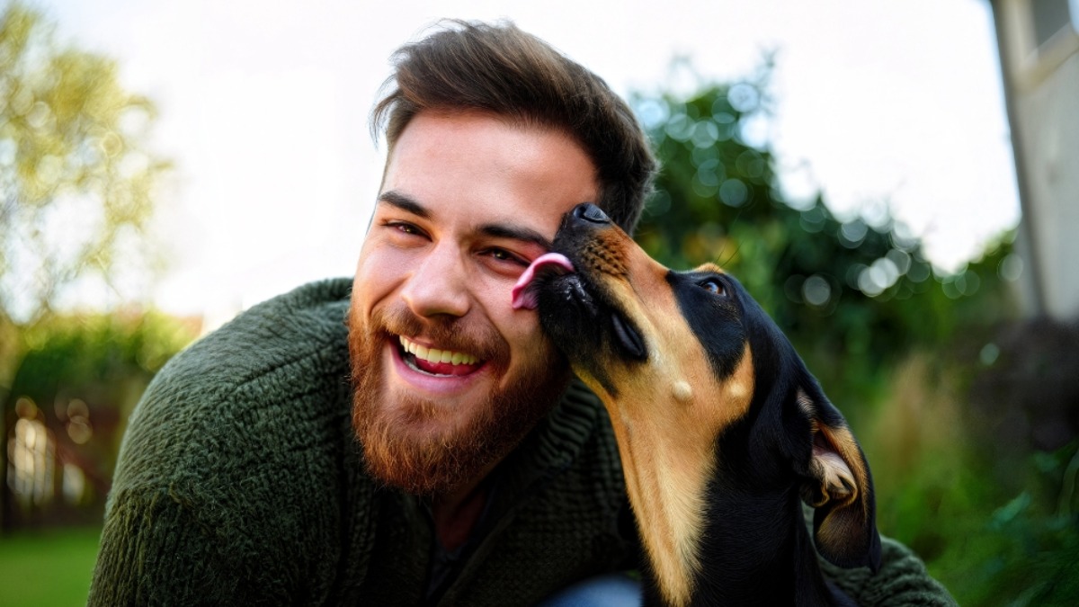 pet carinhoso lamber