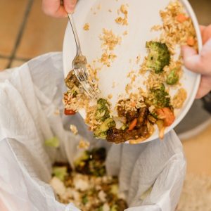 Desperdício de comida