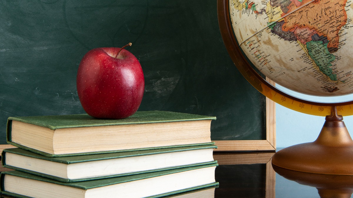 afastamentos profissionais educação