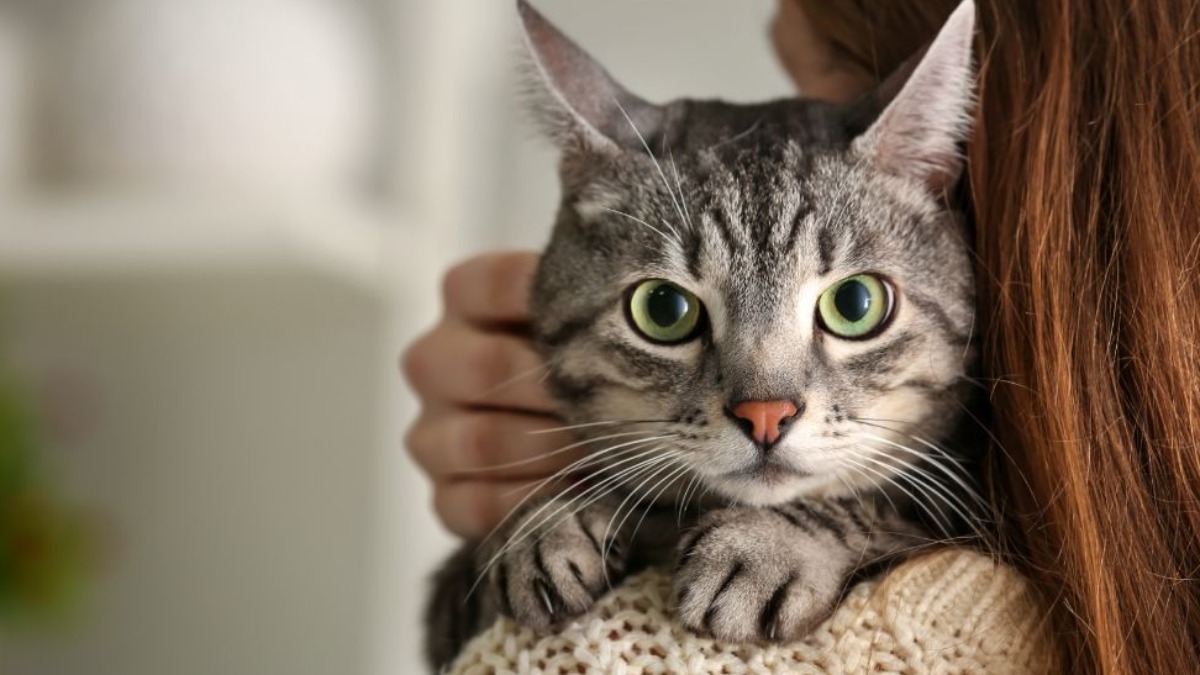 sensação tem explicação científica