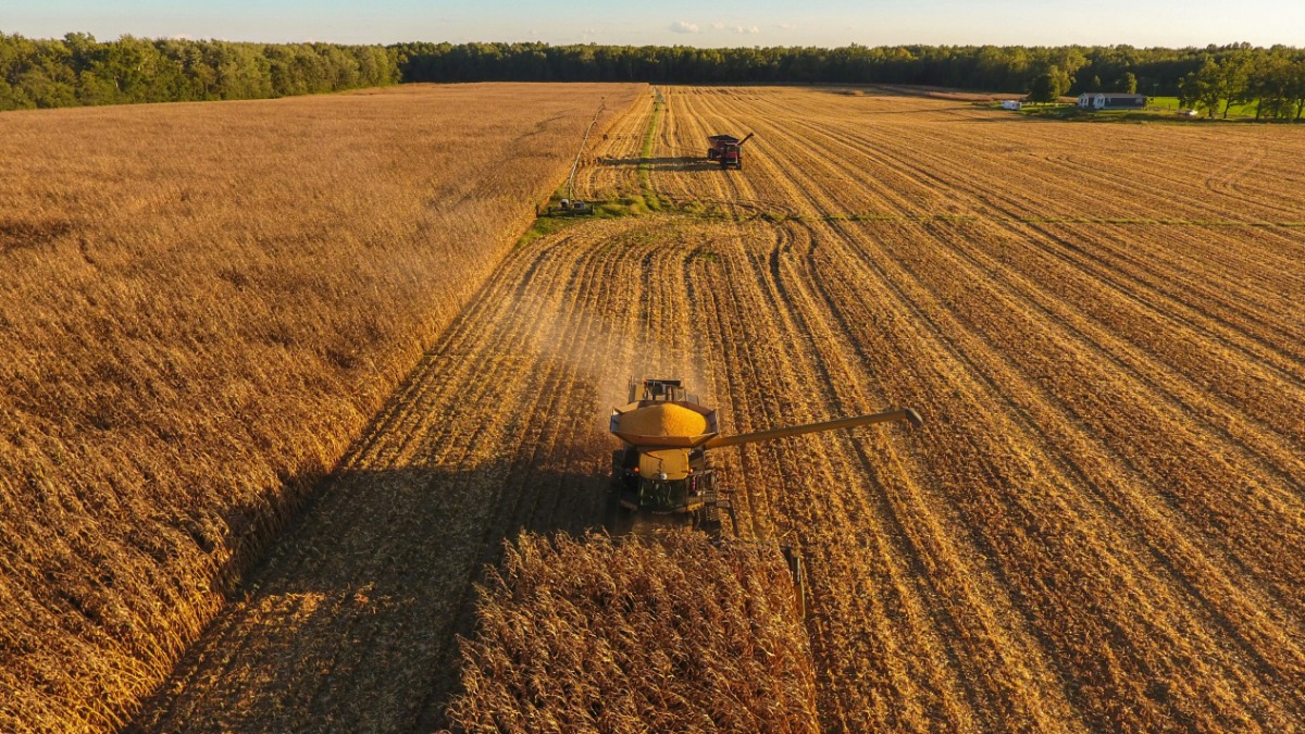 fim do ano agrícola