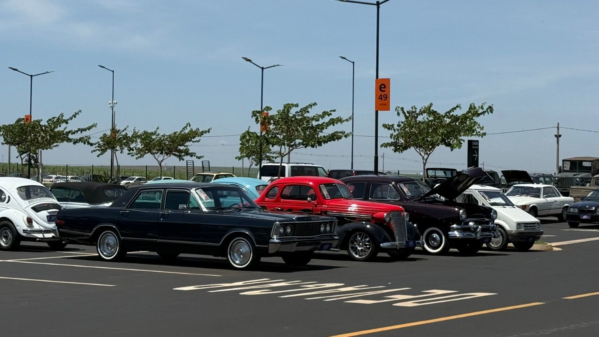 Leilão veículos antigos