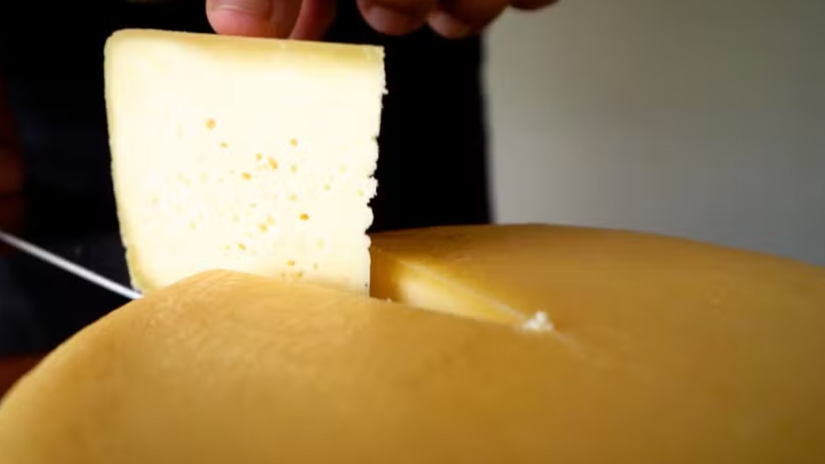 regularização produtos origem animal