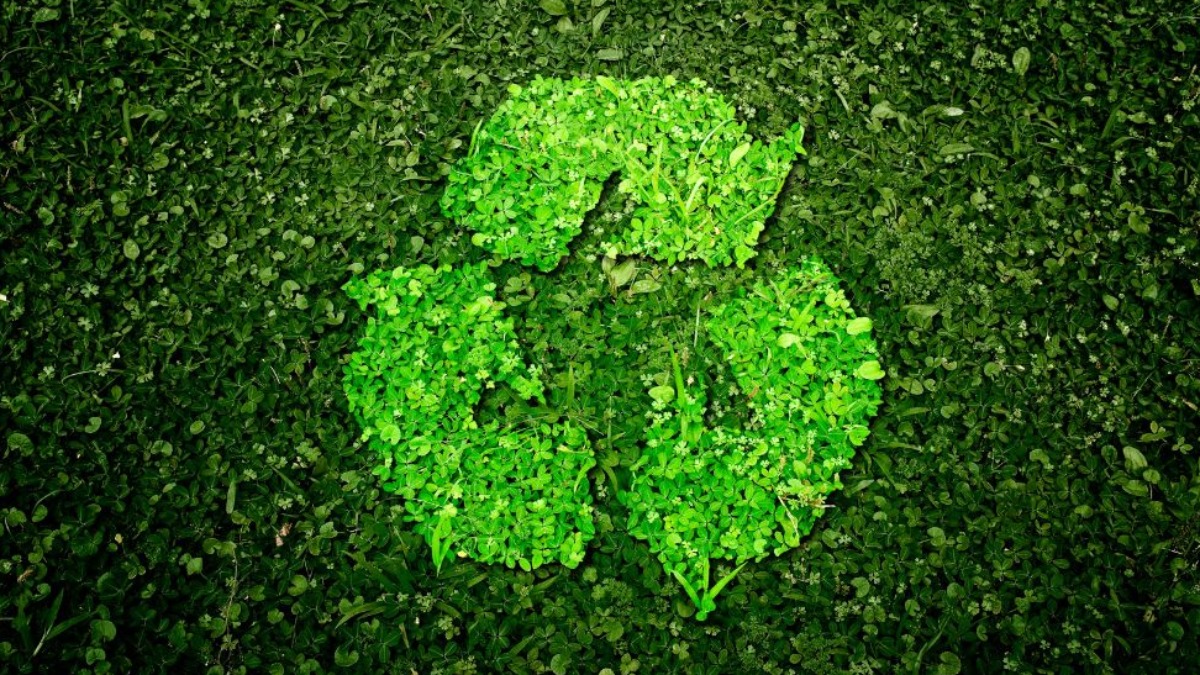 bioeconomia transição energética