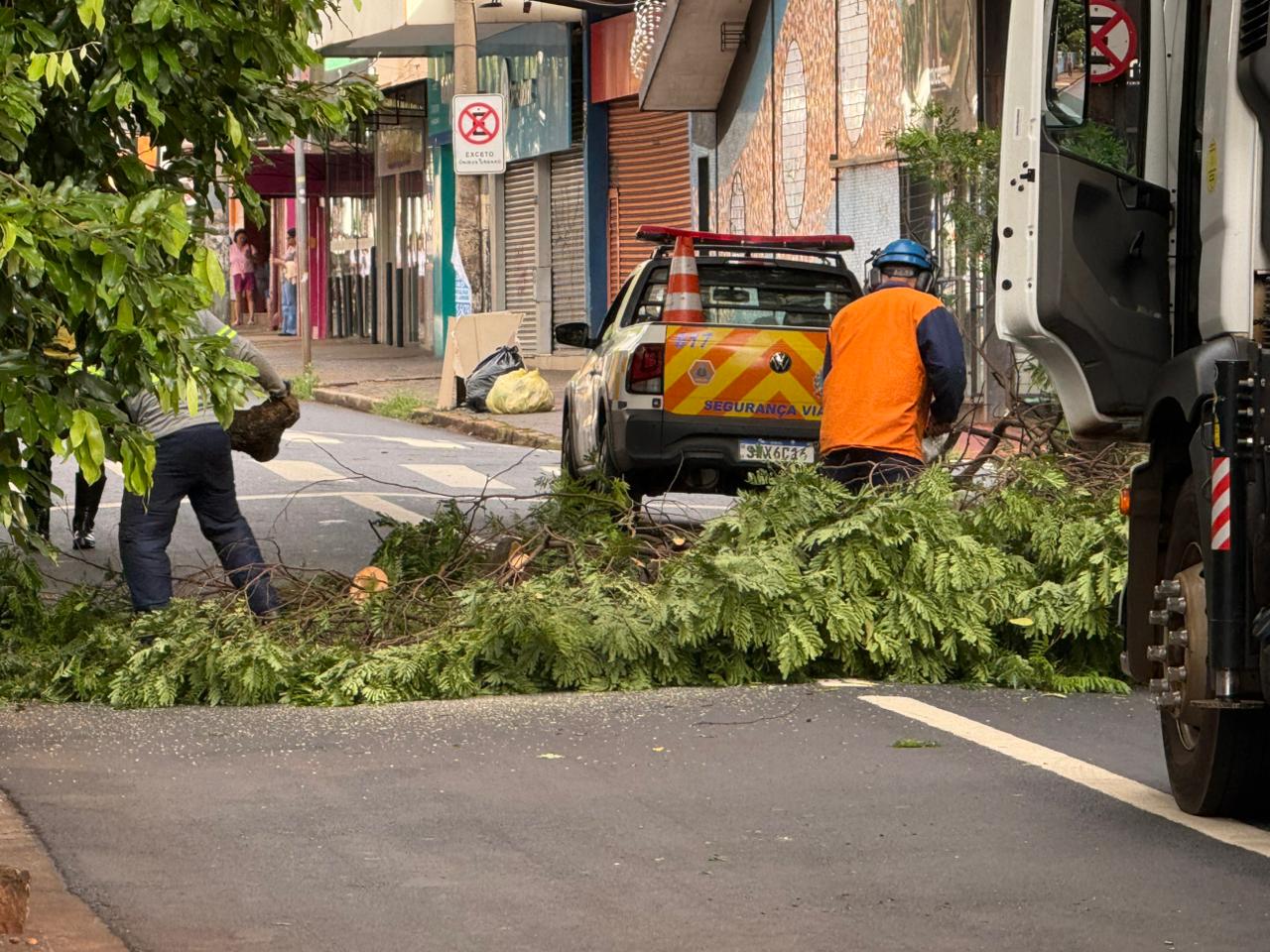 Galho de árvore cai e bloqueia trecho da rua Florêncio de Abreu