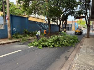 Galho de árvore cai e bloqueia trecho da rua Florêncio de Abreu devido à chuva que atingiu Ribeirão Preto na madrugada