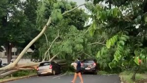 Prefeitura reforça limpeza e avalia soluções após chuva forte em Ribeirão Preto