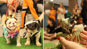 Carna Pet Shopping Santa Úrsulo