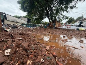 Chuva em Ribeirão Preto causa alagamentos e quedas de árvores - Fábio Marchiselli/CBN Ribeirão