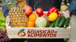 Programa de Aquisição de Alimentos já entregou 600 mil cestas e atende 63 municípios em SP - Divulgação