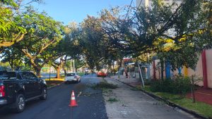 Chuva estragos sujeira queda árvore